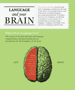 Language and The Brain Infographic logo