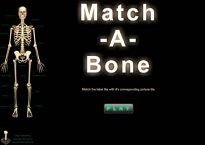 Match A Bone Game Logo