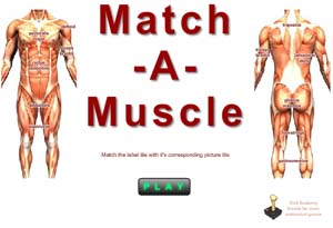 Match A Muscle Game Logo