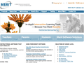 Merit Software